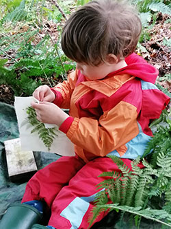 A child takes fern leaf rubbings