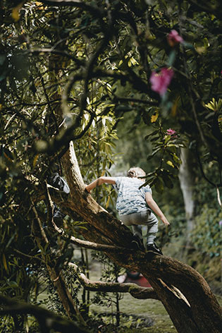 A child climbing and playing outdoors